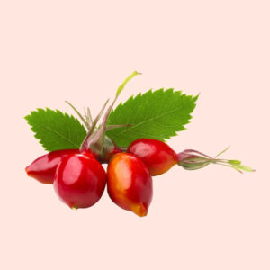 Rosehip Seed Oil