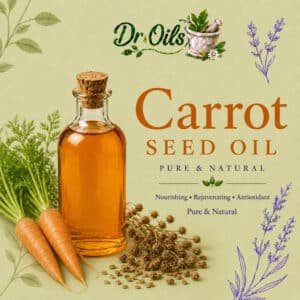 Carrot Seed Oil