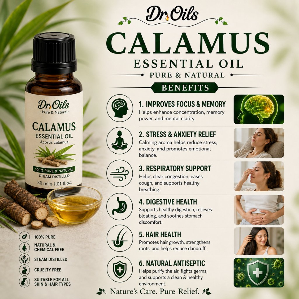 Calamus Essential Oil - Image 3