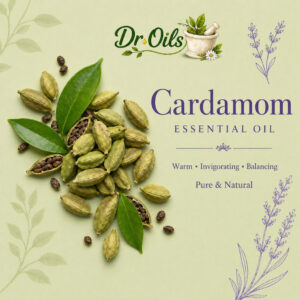 Cardamom Essential Oil