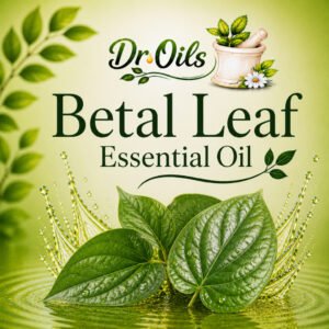 Betel Leaf Essential Oil
