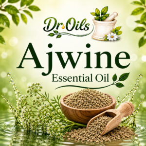 Ajwain Essential Oil