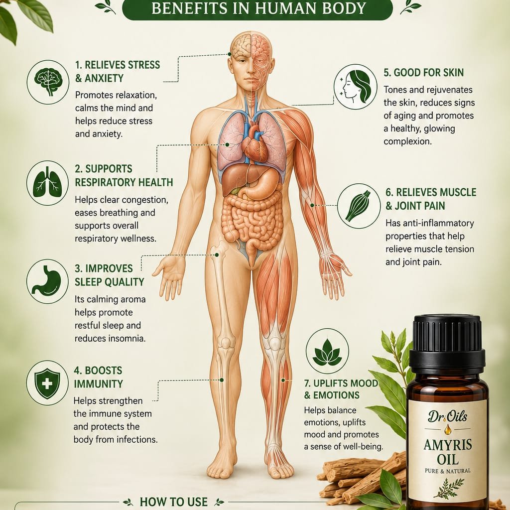 Amyris Essential Oil - Image 2