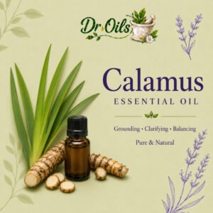 Calamus Essential Oil