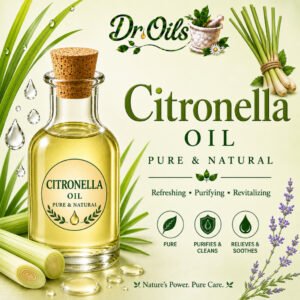 Citronella Oil (Java)